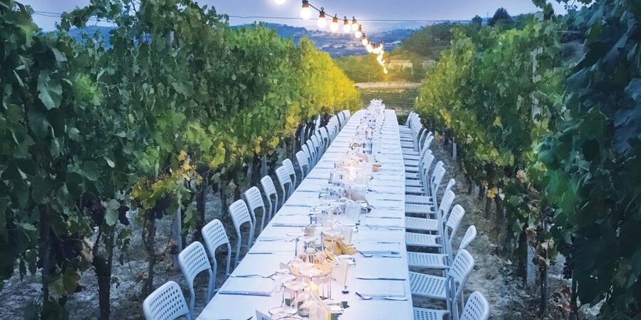 Montepulciano: Tuscan Winery Tour with Wine Tasting & Meal - Price and value: why $112.15 can still feel fair here
