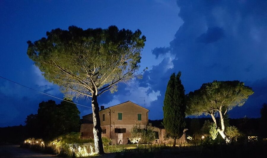 Montepulciano: Tuscan Winery Tour with Wine Tasting & Meal - Should you book this Montepulciano wine-and-meal tour?