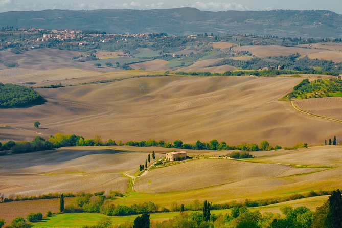 Montepulciano: Wine Tasting & Lunch in a Typical Winery - Why Montepulciano’s Cellar Tasting Feels Like Something Real