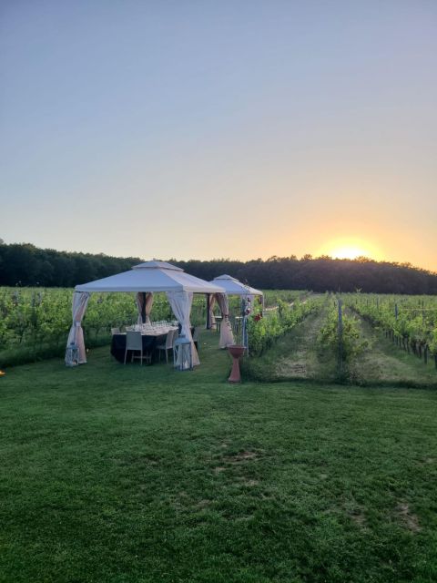Montepulciano: Winery Tour, Tasting, and Vineyard Picnic - Price and Value: What $105 Really Buys