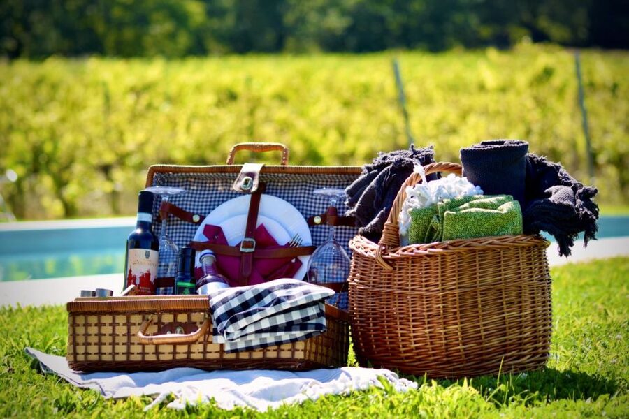 Montepulciano: Winery Tour, Tasting, and Vineyard Picnic - Should You Book Podere Casanova’s Picnic and Tasting?