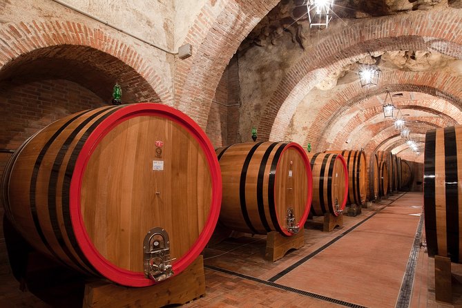 Montepulciano: Winery Tour & Tasting Experience - Who should book this tour (and who should think twice)