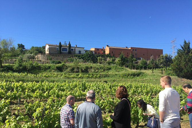 Montserrat & best winery private tour experience with a local expertise - Montserrat Abbey: Cloisters, the Madonna Cabinet, and the Choir Moment