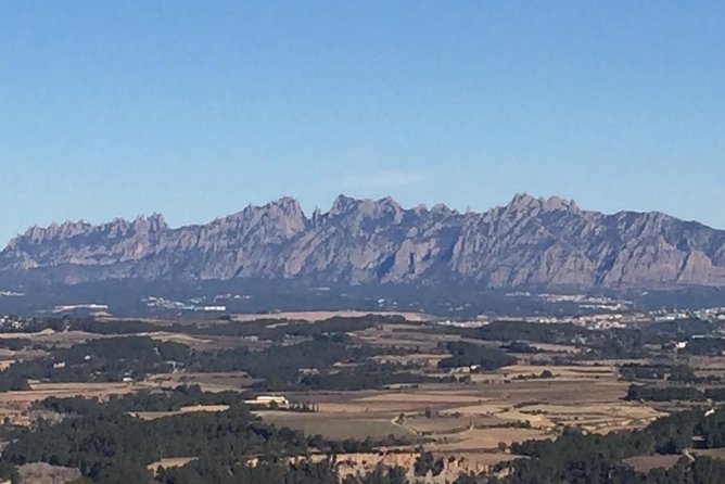 Montserrat & best winery private tour experience with a local expertise - Sant Sadurní d’Anoia Lunch Like Locals (Plus Optional Cava)