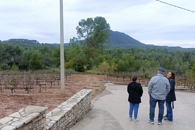 Montserrat & beyond private tour with pickup, tickets & options - Barcelona pickup and private transport: how it changes your day