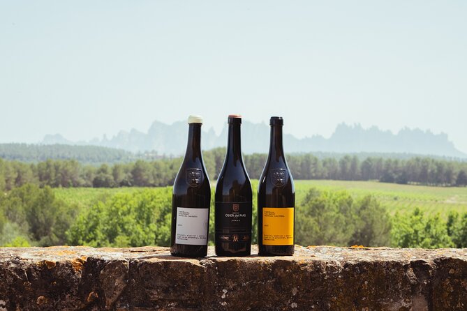 Montserrat & Boutique Winery with Catalan Brunch | Private Tour - Key highlights you should care about