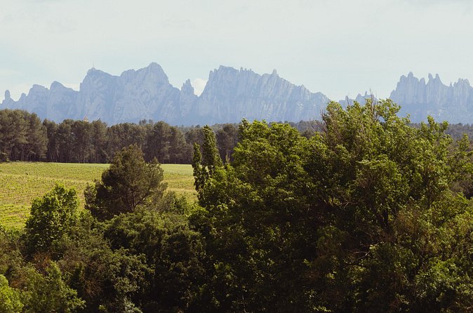 Montserrat & Boutique Winery with Catalan Brunch | Private Tour - Price and value: is $535.30 per person worth it?