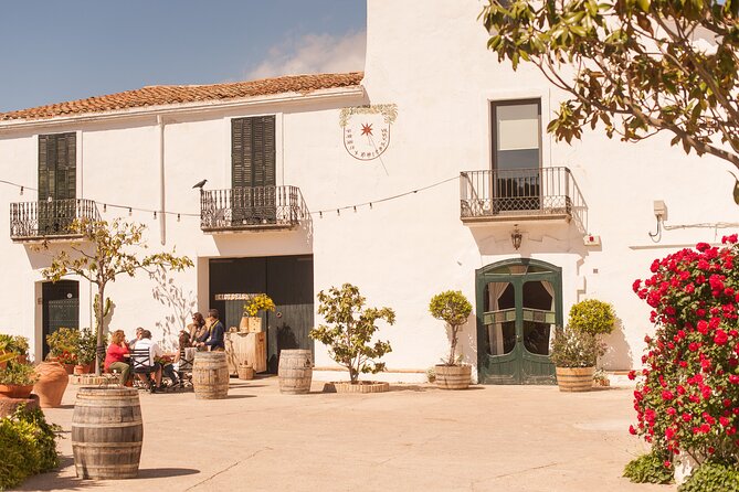 Montserrat & Boutique Winery with Catalan Brunch | Private Tour - Who this tour is best for