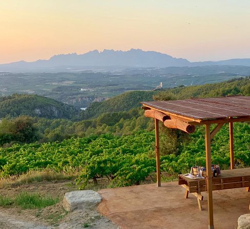 Montserrat Private Day Trip with Codorniu Cava Cellar Tasting - La Moreneta and the skip-the-line plan (plus the Boys Choir option)
