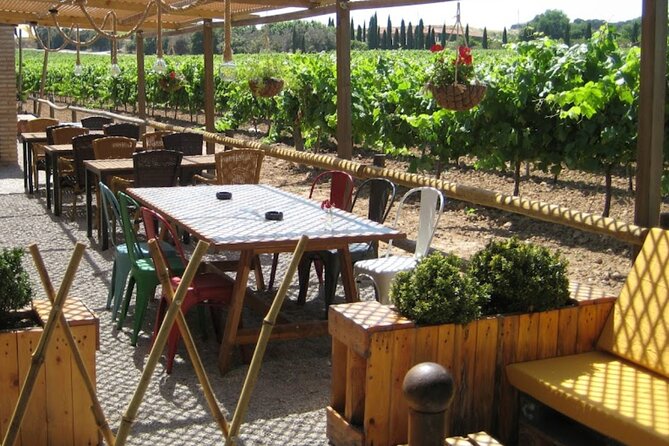 Montserrat & Winery Visit Tour with Traditional Farmhouse Lunch - From Palau de la Música to Montserrat: the ride starts your day right