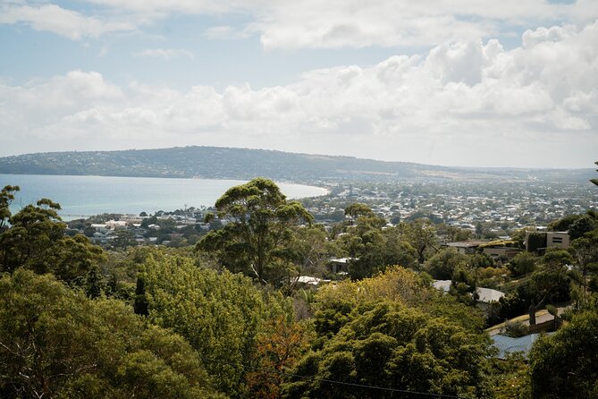 Mornington Peninsula Small Group Thermal Springs w/ Lunch & Wine - Arthur’s Seat lookout: a gentle walk with serious panoramic rewards