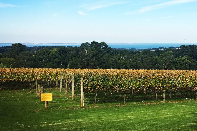 Mornington Peninsula Winery Bus Tour including lunch with a glass of wine - What you get included—and why the price can make sense