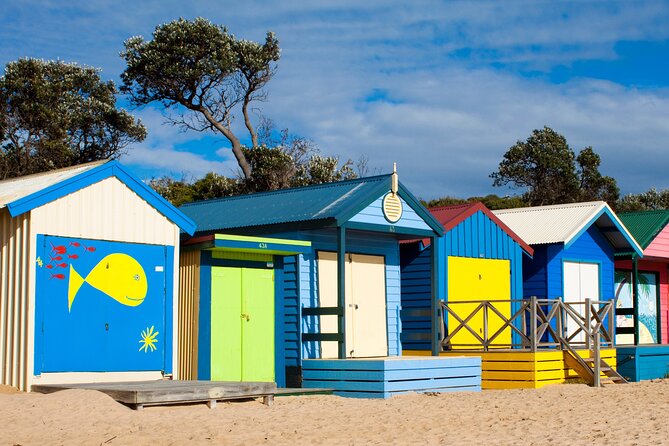Mornington Peninsula Winery Bus Tour including lunch with a glass of wine - Who this tour is best for (and who might want a different plan)