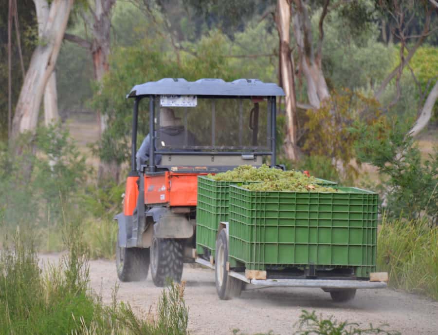Mornington Peninsula Winery Bus Tour with Lunch & Wine - The Views: Panoramic Stops That Actually Help You Remember the Day