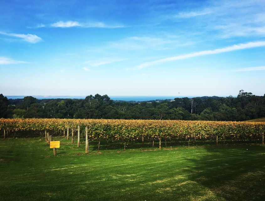 Mornington Peninsula Winery Bus Tour with Lunch & Wine - Who This Tour Suits Best (and Who Might Prefer Something Else)