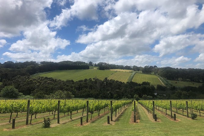 Mornington Peninsula Winery Tour - Lunch Included - Food and Dietary Needs: Plan It Before You Go