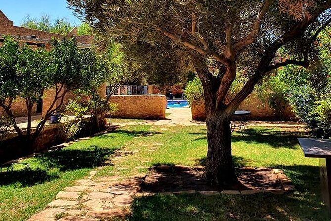 Morocco Vineyard Visit and Gourmet Tours - Ifrane and Midelt: a calmer reset before the desert