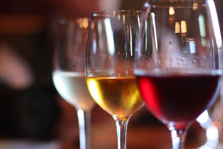 Mosel: Accompanied wine tasting directly at the winery - Key Highlights Worth Planning For