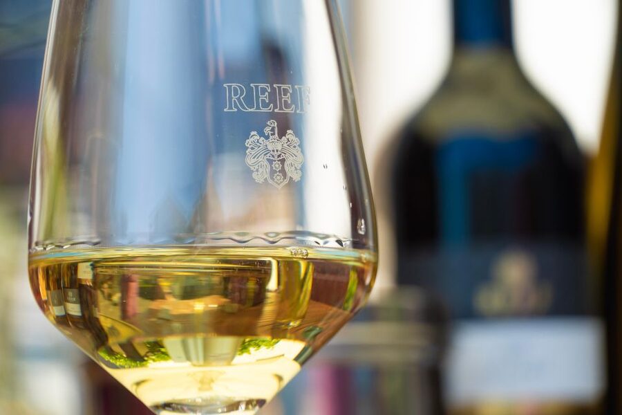 Mosel: Accompanied wine tasting directly at the winery - Why a Winemaker-Led Mosel Tasting Feels More Personal Than Most