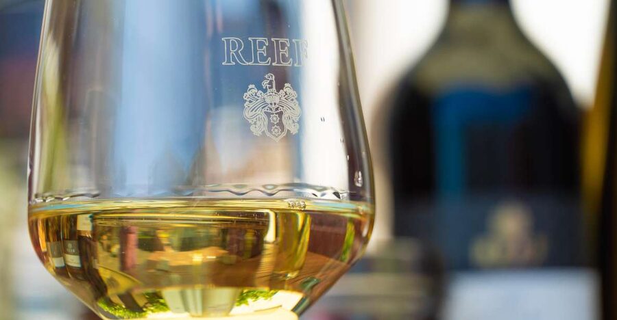 Mosel: Accompanied wine tasting directly at the winery - The Six Wines: How to Taste Like You Actually Mean It