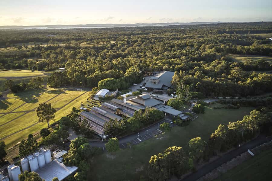 Mount Cotton: Sirromet Winery Tour with Tasting and Lunch - Key things I’d focus on