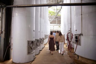 Mount Cotton: Winery Tour & Tasting with 3-Course Lunch - The guided winery tour: seeing the production side of winemaking
