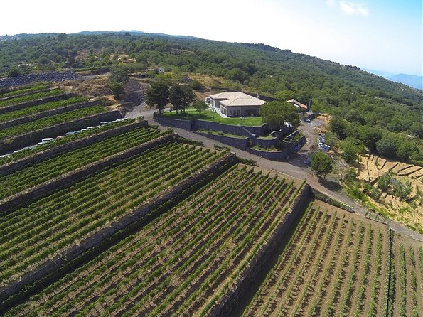 Mount Etna, Lunch in a Winery and Taormina Private Day-Trip from Messina - Timing, heat, and what to pack for Etna + Taormina