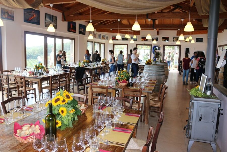 Mount Etna: Winery Tour and Tasting - Welcome Toast to Final Cannolo: The Sicilian Pairing Lineup
