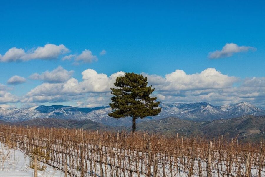 Mount Etna: Winery Tour and Tasting - Getting There: The One Detail That Can Make or Break the Day
