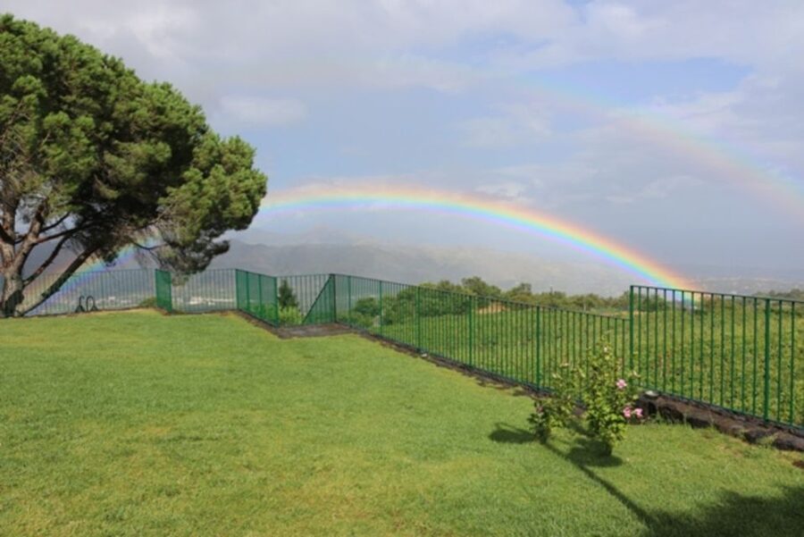 Mount Etna: Winery Tour and Tasting - Who Should Book This Tasting (and Who Should Skip It)