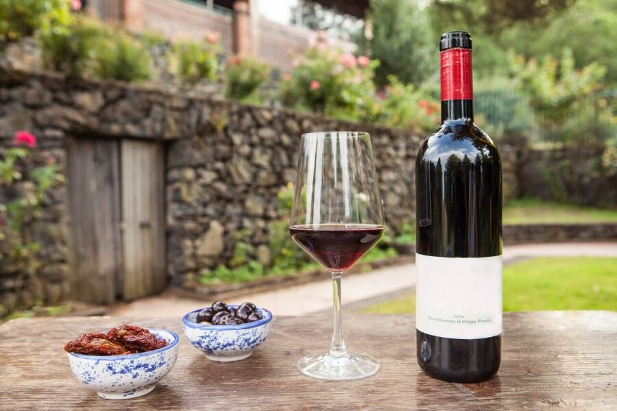 Mount Etna: Winery Tour and Tasting - The 2-Hour Flow: Toast, Winery Walk, Then 5 Wines