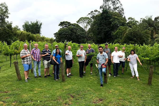 Mount Tamborine Winery Tour with Gourmet lunch - Stop 3: Cedar Creek Estate Vineyard and Winery (ports, liqours, and Cedar Creme)