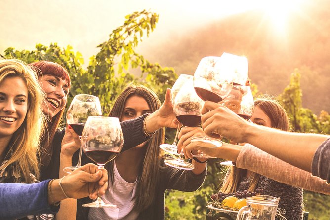 Mount Tamborine Winery Tour with Gourmet lunch - Guides and vibe: when the driver makes the day