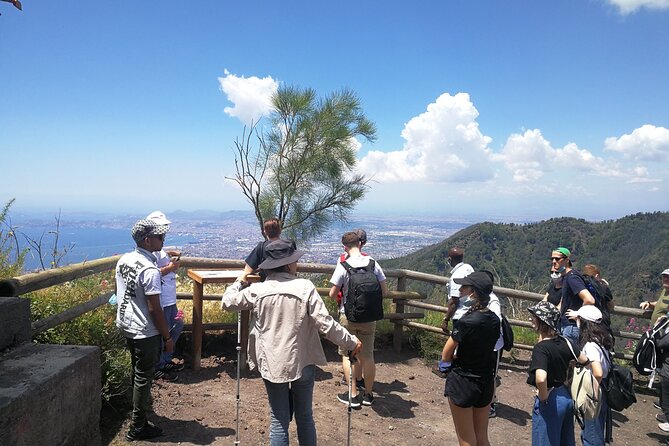 Mount Vesuvius Shore Tour, Pompeii & Winery Vesuvius Winery - Price and value: what you’re paying for (and what you’re not)