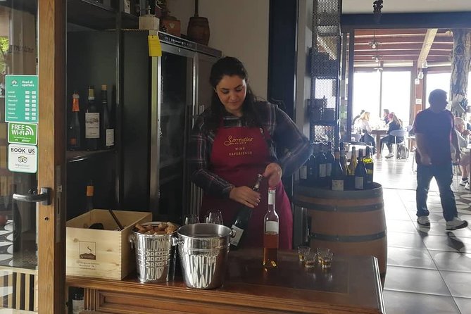 Mount Vesuvius Shore Tour, Pompeii & Winery Vesuvius Winery - Who should book this Pompeii and Vesuvius winery day