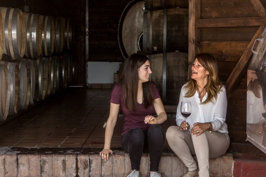 Mount Vesuvius: Vineyard Tour with Wine Tasting and Lunch - Should You Book This Mount Vesuvius Vineyard Tour?