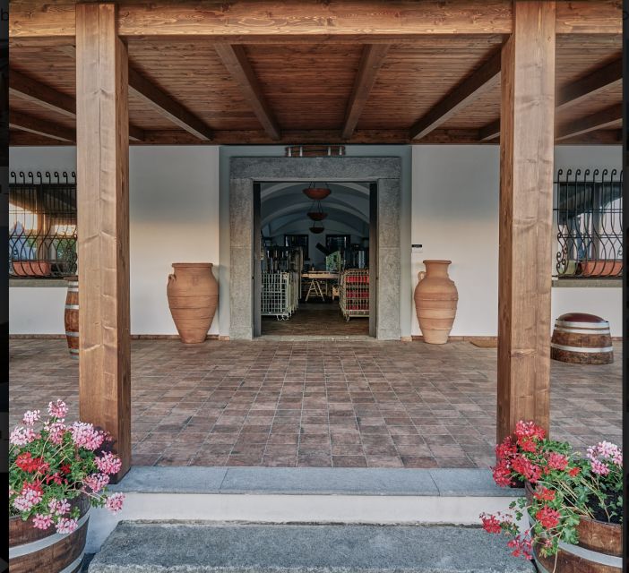 Mount Vesuvius: Vineyard Tour with Wine Tasting and Lunch - Lunch With a View: Local Olive Oil, Vinegar, and Pairing That Makes Sense