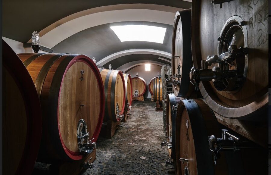 Mount Vesuvius: Vineyard Tour with Wine Tasting and Lunch - Price vs Value: What You’re Actually Buying for $65