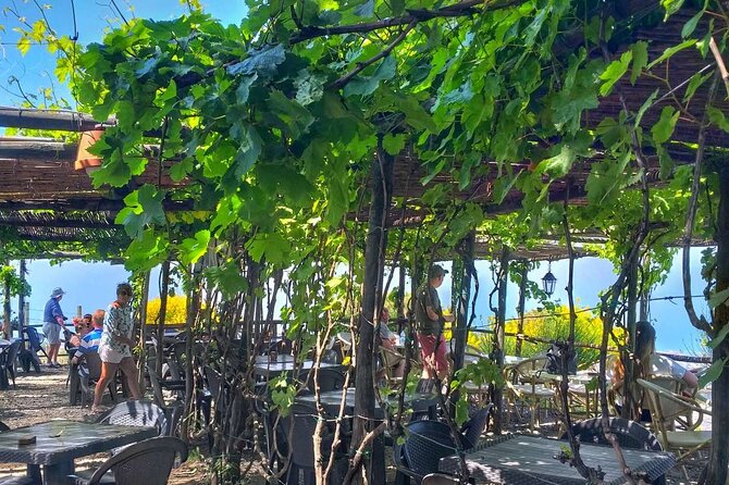 Mt. Vesuvius Tour from Naples with Lunch at a Vineyard Included - A 4-Hour Mount Vesuvius Plan Starting From Naples