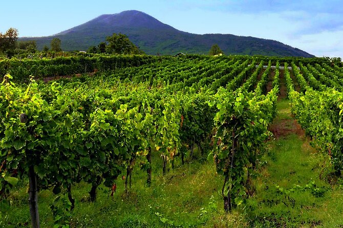 Mt. Vesuvius Tour from Naples with Lunch at a Vineyard Included - The Vineyard Lunch With Wine Tasting: Expect Something Small