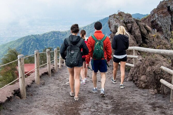 Mt. Vesuvius Tour from Naples with Lunch at a Vineyard Included - Who This Tour Fits Best (and Who Should Rethink It)
