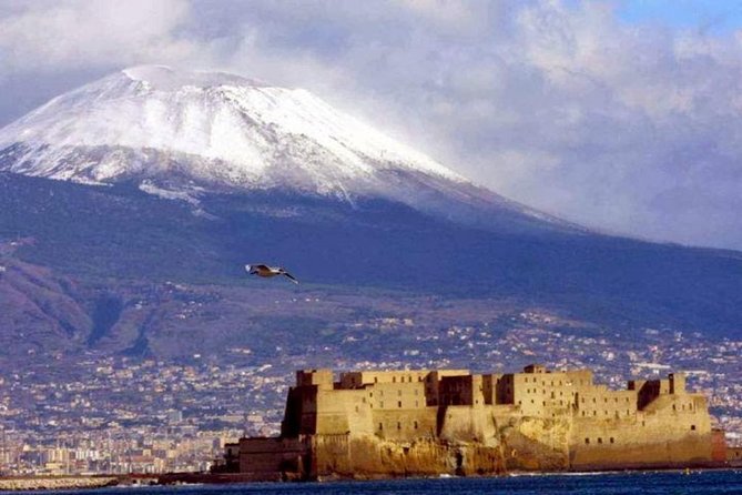 Mt Vesuvius with Winery Visit - Mt Vesuvius + winery in the same day: how to make the timing work