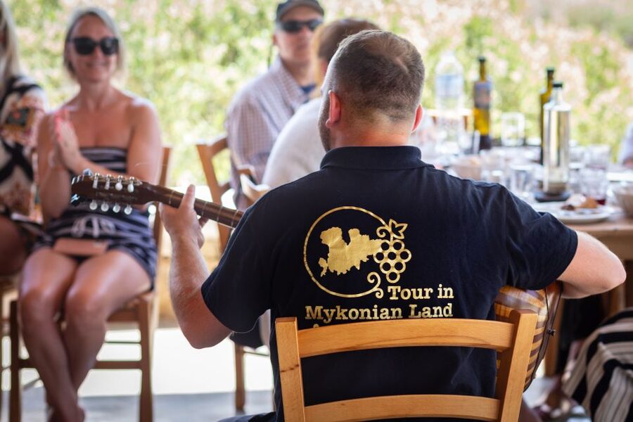 Mykonos: Winery Vineyard Experience with Food & Wine Tasting - Should you book this Mykonian Land wine and vineyard experience?