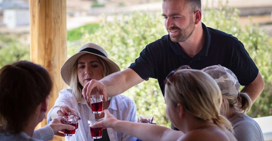 Mykonos: Winery Vineyard Experience with Food & Wine Tasting - Visiting Mykonos via an organic vineyard, not a tasting room