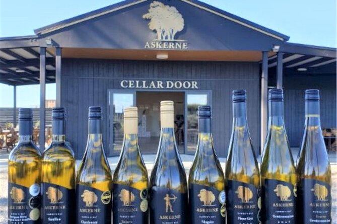 Napier: Afternoon Wine Tasting + visit Silky Oaks Chocolates - The Silky Oaks Chocolate Company stop: sweet relief for wine tastebuds
