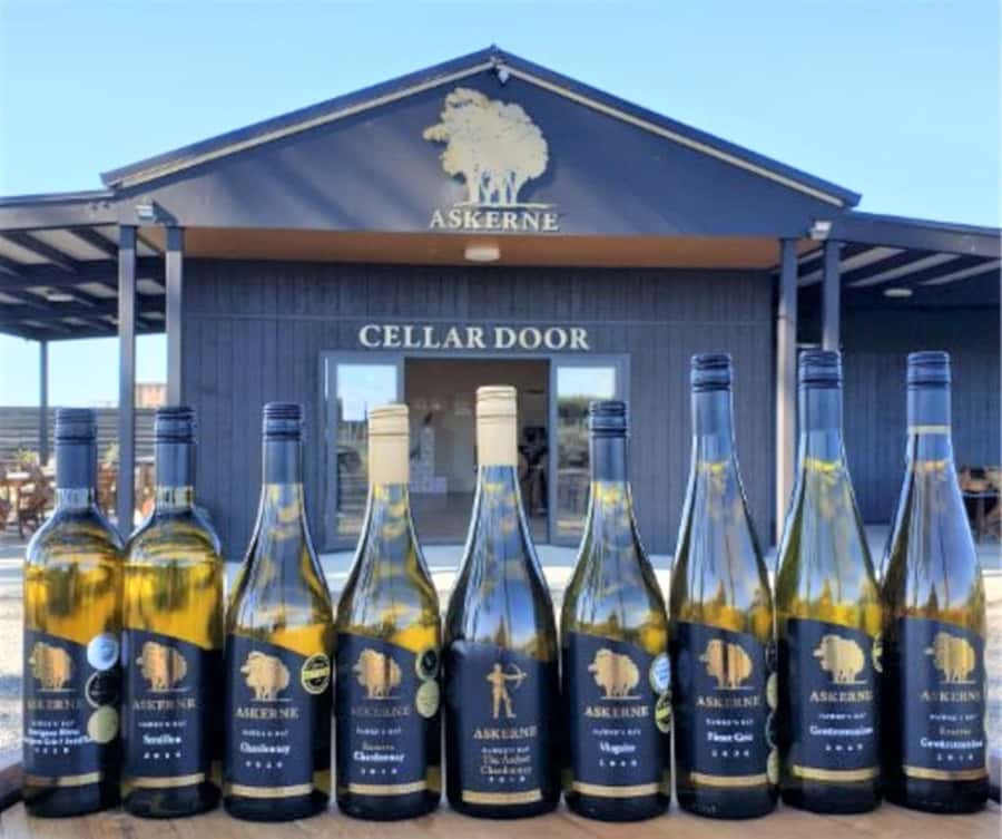 Napier: Afternoon Winery & Gin Tasting Tour Thu Fri Sat - Price and Value: $99 for Wine, Gin, Cheese, and a Glass