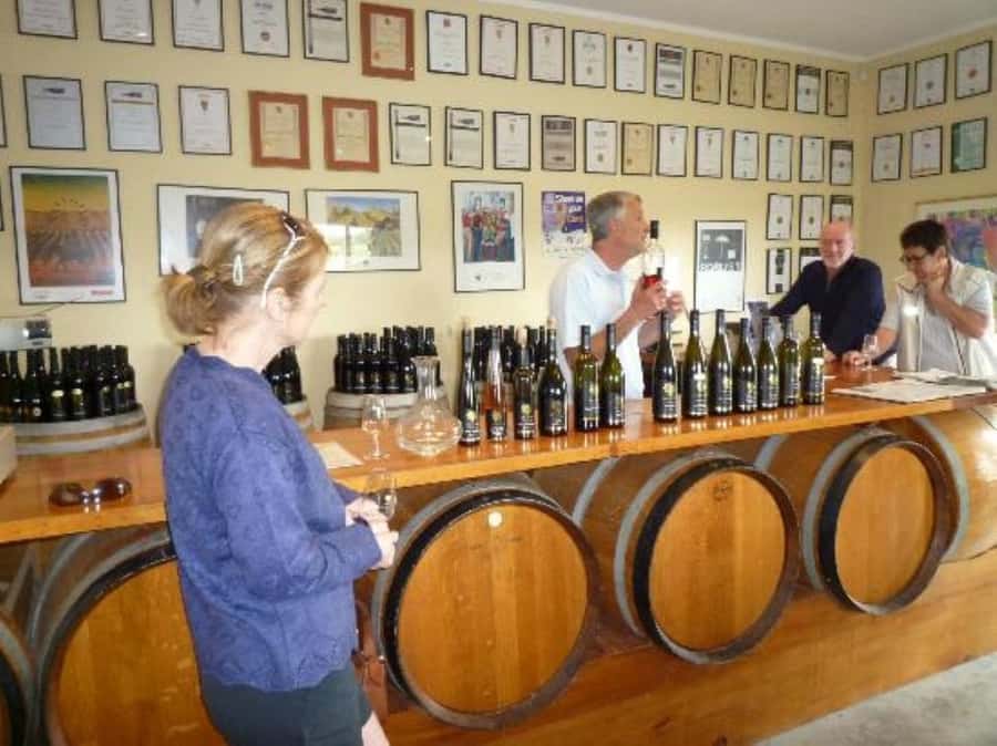 Napier: Afternoon Winery & Gin Tasting Tour Thu Fri Sat - How to Get the Most Out of Your Tastings