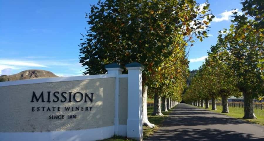 Napier: Afternoon Winery Tour Tasting at 3 Great Wineries - Pask Estate and the tasting-room makeover