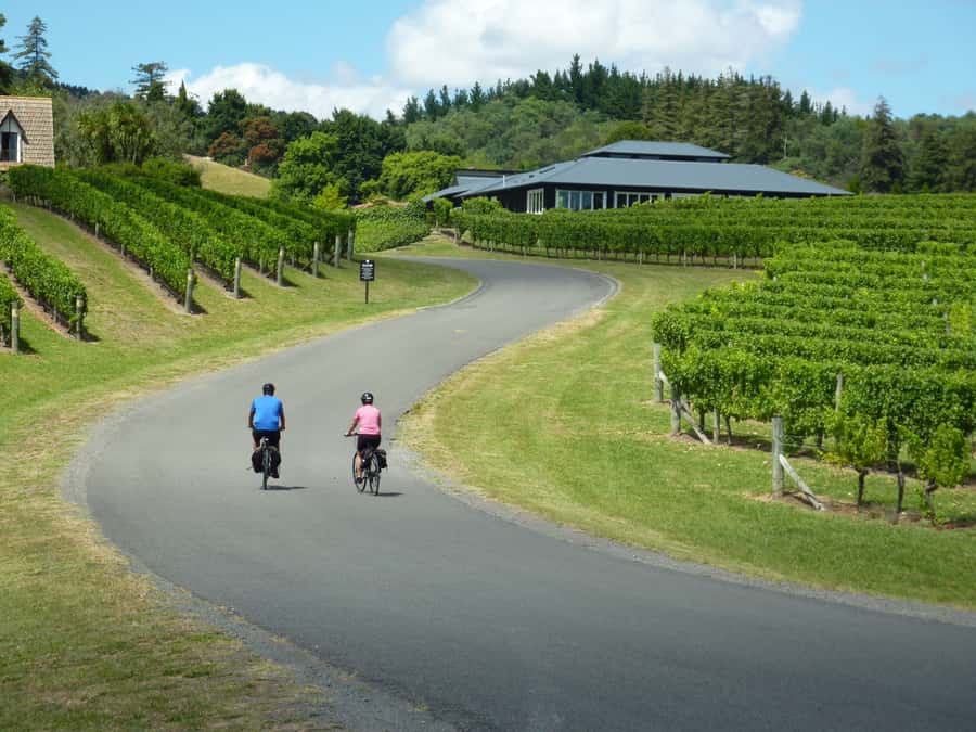 Napier: Cape Coast Winery Tour on E-Bikes - Key Highlights You Should Care About