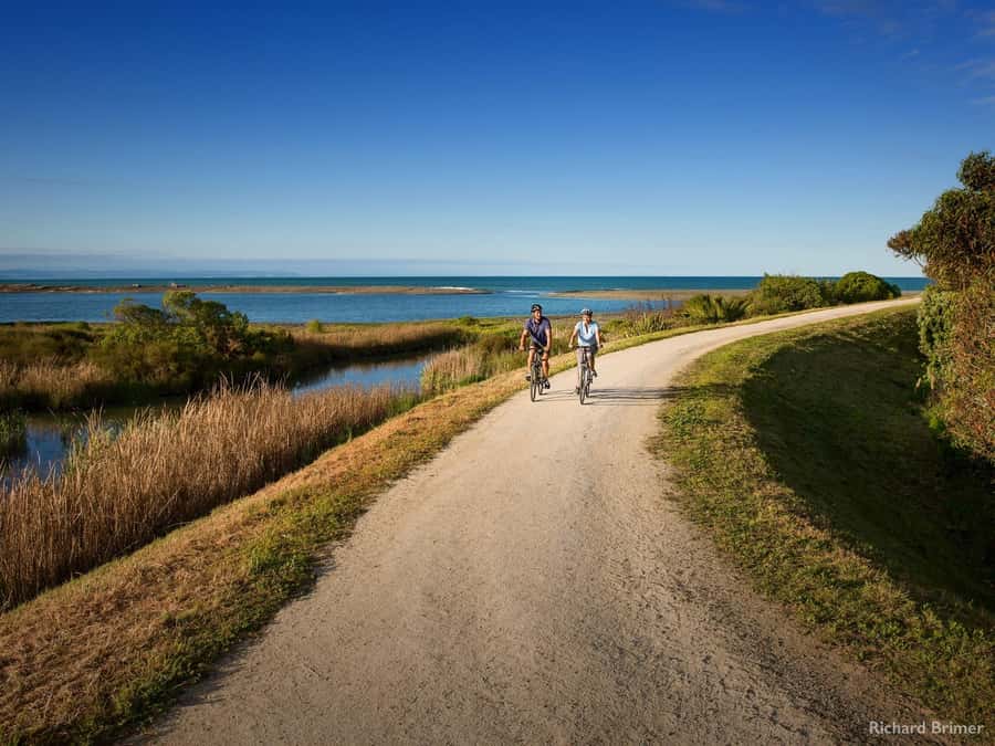 Napier: Cape Coast Winery Tour on E-Bikes - Clearview Estate and Elephant Hill: Two Tastings That Anchor the Day